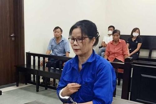 Chỉ vu vơ lô đất trống, lừa đảo nhiều tỷ đồng, lĩnh 17 năm tù