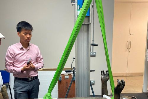 Nỗ lực hồi hương cổ vật