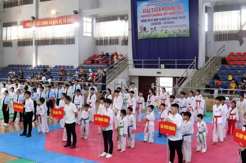 Gần 200 vận động viên tranh tài tại Giải taekwondo Hè huyện Chương Mỹ năm 2024
