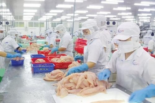 Điểm danh 7 mặt hàng nông, lâm, thủy sản có giá trị xuất khẩu đạt trên 1 tỷ USD
