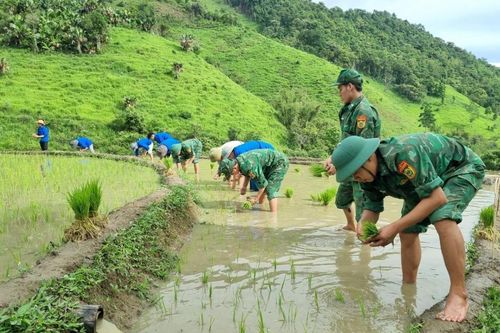 Xung kích giúp dân xóa đói giảm nghèo ở vùng biên giới xứ Nghệ