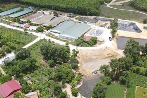 Người dân kêu cứu vì trại lợn làm ô nhiễm nguồn nước