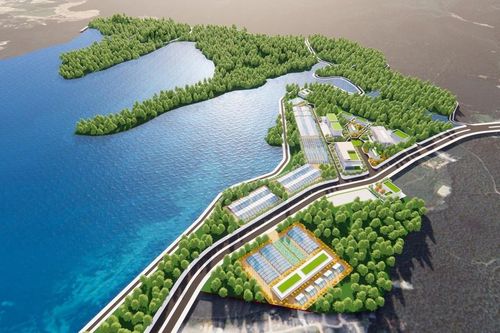Nghệ An lập Đồ án quy hoạch chung Khu lâm nghiệp ứng dụng công nghệ cao 618 ha