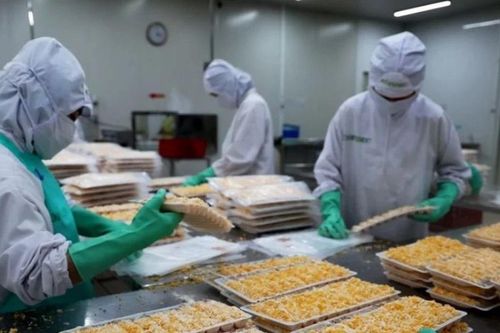 Nhiều nhà đầu tư quan tâm tìm hiểu, khảo sát và đầu tư vào tỉnh Nam Định