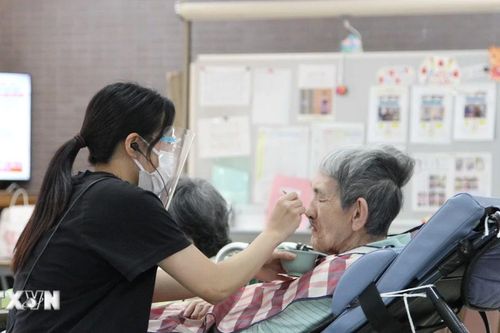 Hàn Quốc cho phép sinh viên quốc tế được làm việc lĩnh vực điều dưỡng
