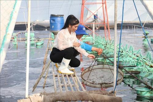 Công nhận 9 xã vùng bãi ngang, ven biển thoát khỏi tình trạng đặc biệt khó khăn