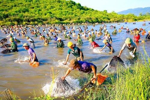 Đặc sắc Lễ hội đánh cá Đồng Hoa