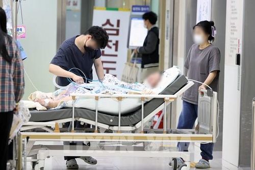 Hàn Quốc tạo việc làm cho sinh viên nước ngoài