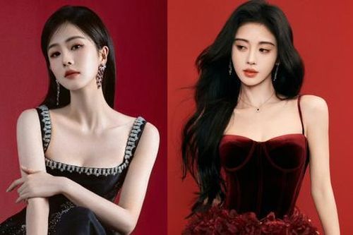 Dù bằng tuổi nhưng sự nghiệp của Cúc Tịnh Y kém xa Bạch Lộc