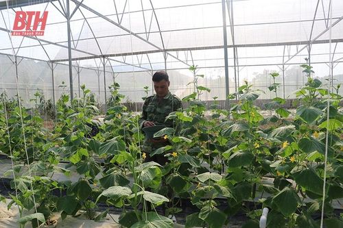 Nâng cao trình độ của người dân ở các vùng sản xuất VietGAP