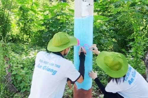 Tuổi trẻ Tri Tôn tham gia làm đẹp trụ điện