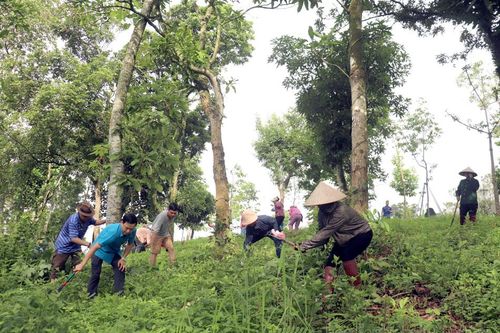 100 người tham gia cải tạo cảnh quan môi trường