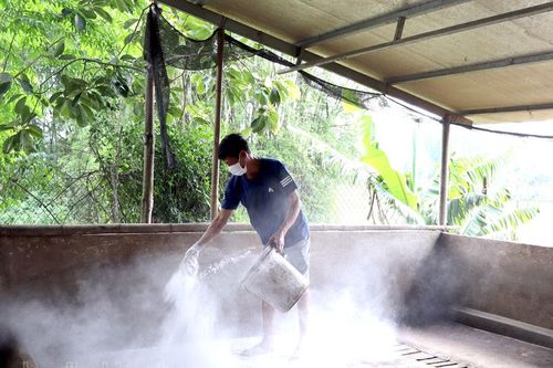 Quyết liệt phòng chống dịch bệnh gia súc, gia cầm