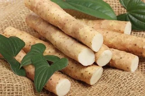 Ký ức củ mài