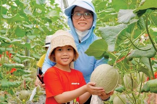 Kinh tế phục hồi và tăng trưởng
