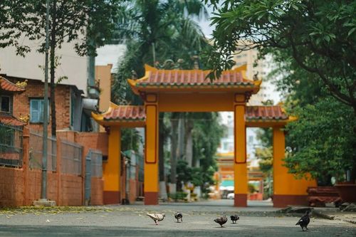 Các tự viện không thuộc đối tượng điều tra theo Công văn số 817/BTG-TCHC của Ban Tôn giáo TP.HCM