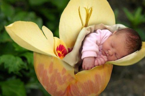 Phá thai: Một góc nhìn Phật giáo