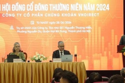 VNDIRECT sẽ chào bán riêng lẻ gần 269 triệu cổ phiếu để tăng vốn lên hơn 19 nghìn tỷ đồng