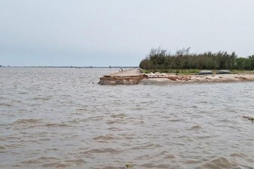Thái Bình: Sẵn sàng ứng phó với thiên tai ở huyện trọng điểm Tiền Hải