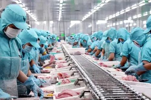 Tham gia chuỗi cung ứng toàn cầu là nhu cầu bắt buộc