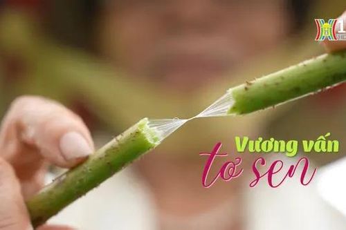 Vương vấn tơ sen | Nghệ nhân Hà Nội | 29/06/2024