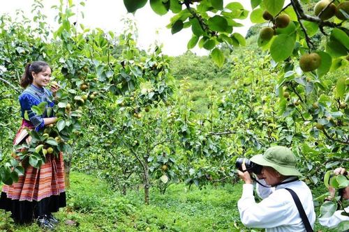 Tới Lễ hội Si Ma Cai hòa mình trong hương sắc vùng cao
