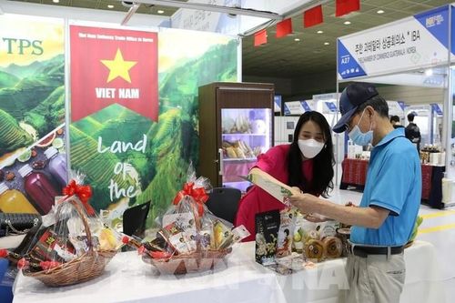 Hợp tác kinh tế Việt Nam - Hàn Quốc: Nâng tầm cả chất và lượng