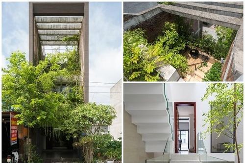 Báo Mỹ nức nở khen nhà ống ngập cây xanh ở Bắc Ninh