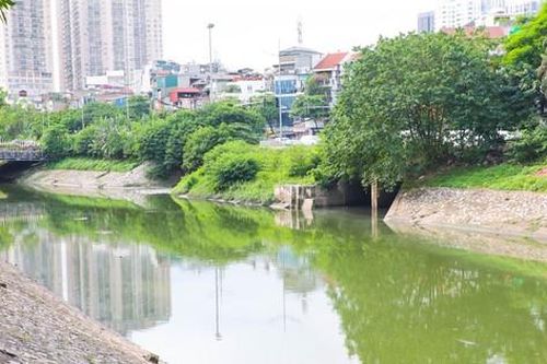 Nước sông Tô Lịch bỗng chuyển sang màu xanh lục