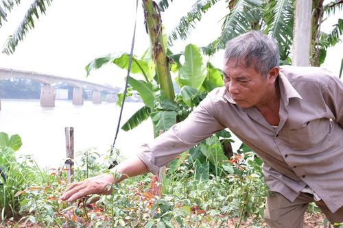 Sạt lở lớn chưa từng có, nông dân bất lực nhìn gia sản trăm triệu trôi sông