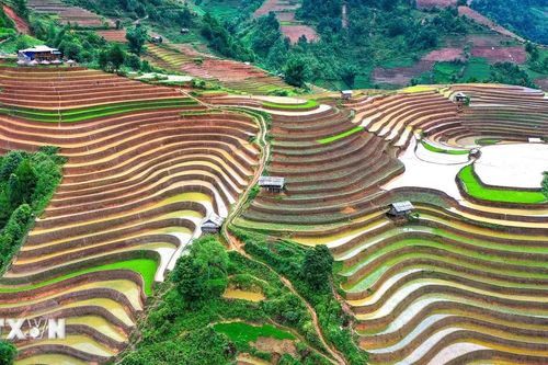 Ruộng bậc thang ở vùng cao Mù Cang Chải vào mùa nước đổ