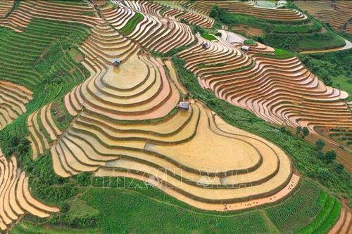 Vẻ đẹp ruộng bậc thang Mù Cang Chải mùa nước đổ