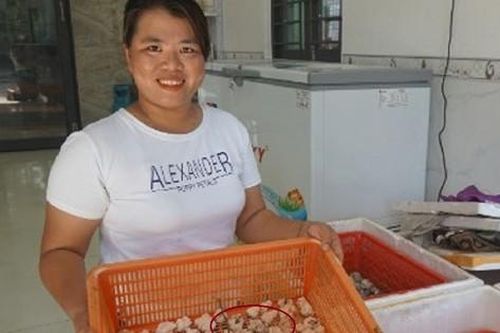 Chị nông dân cứ 1 tháng đút túi 100 triệu đồng nhờ nuôi con 'siêu mắn đẻ'