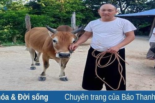 Nắng ấm đại ngàn: No ấm!