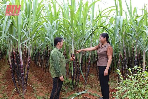 Thạch Thành điều động, luân chuyển cán bộ chủ chốt không phải người địa phương