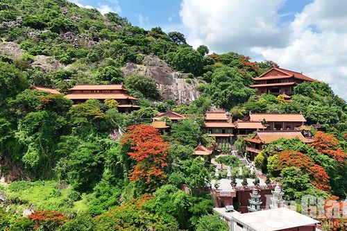 Mùa hạ rực rỡ trên chùa Hang