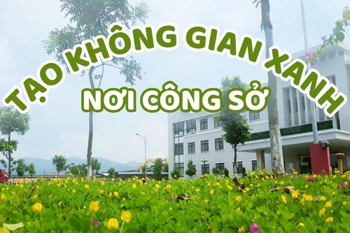 Tạo không gian xanh nơi công sở