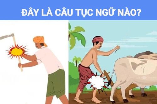 90% giới trẻ không biết câu tục ngữ này là gì?