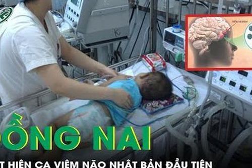 Đồng Nai: Phát hiện ca viêm não Nhật Bản đầu tiên