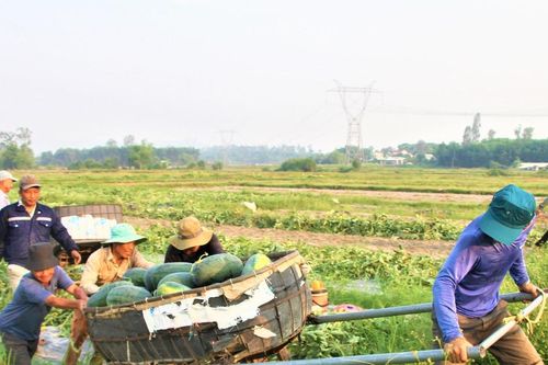 Quảng Nam nỗ lực xây dựng nông thôn mới