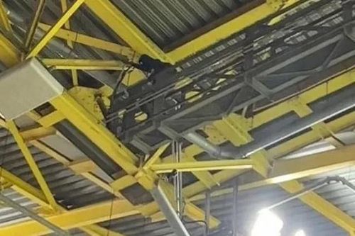 Cảnh tượng gây sốc trong trận Đức - Đan Mạch