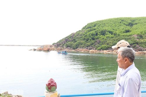 Quảng Ngãi: Lập dự án nạo vét, thông luồng ra, vào Cảng neo trú tàu thuyền Mỹ Á