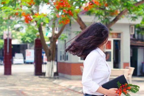 Tản văn: Ngang qua mùa Hạ