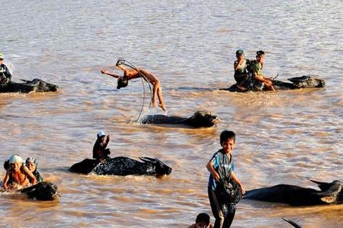 Trải nghiệm những ngày hè thú vị của trẻ em Tây Nguyên
