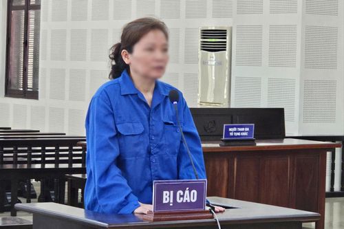 Hùn vốn kinh doanh bất động sản, chiếm đoạt hơn 2 tỷ đồng