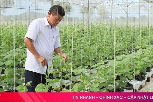 Phát huy tối đa nguồn lực phát triển ở xã đạt chuẩn NTM kiểu mẫu