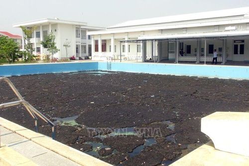 Vận hành hồ dạy bơi cho trẻ em sau phản ánh của TTXVN