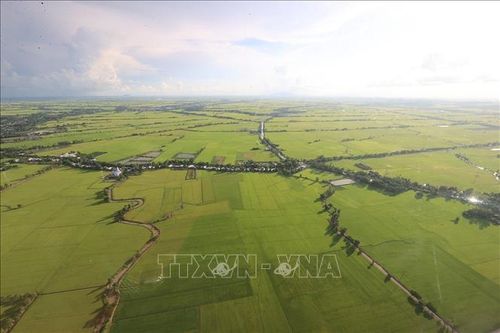 Quy hoạch vùng ĐBSCL từng bước thay đổi tư duy về an ninh lương thực