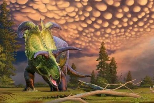 Lộ diện loài quái thú 6 sừng ở Mỹ, nặng tới 5 tấn