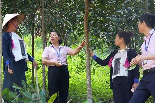 Nữ Trưởng Ban công tác Mặt trận khéo vận động nhân dân